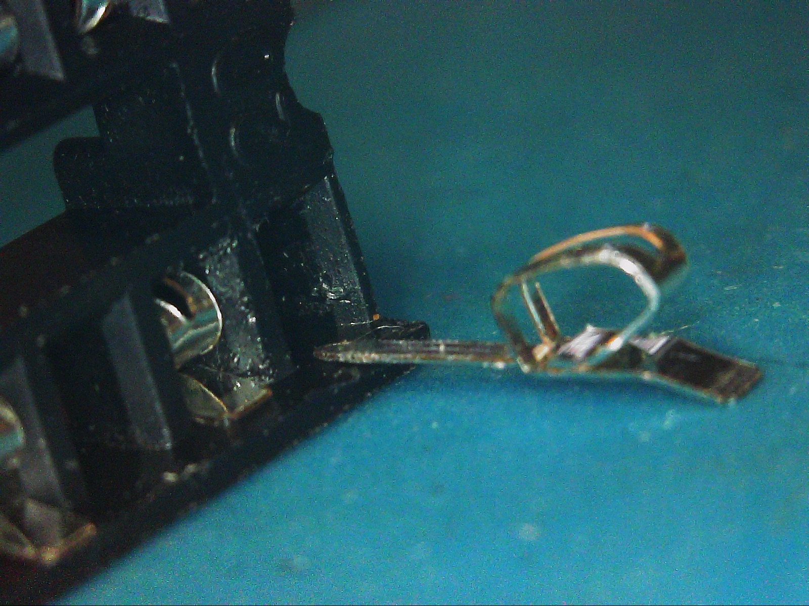 S20251101_0004.jpg